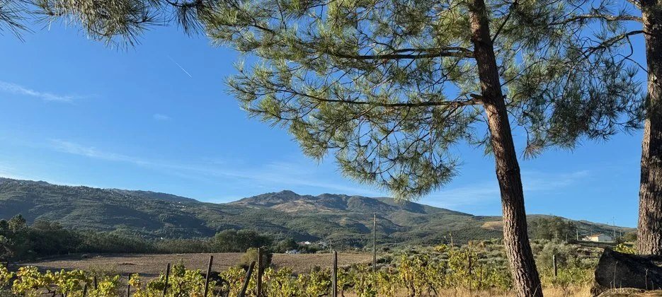 Paisagem envolvente